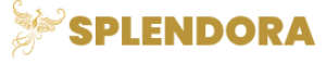 logo-11-r727aw0re3odjo9izr23xdij09gmr6w1zty6rw8x02 (1)